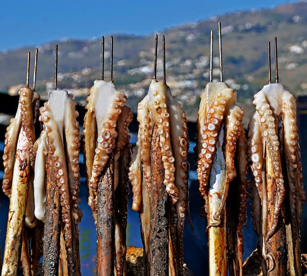 Oktopus am Spieß Brennholz am Strand