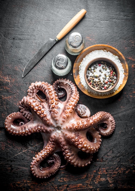 Foto oktopus mit messer und gewürzen