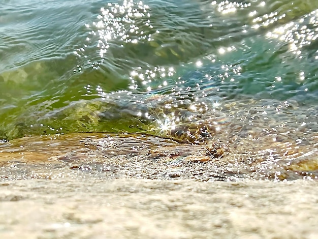 ola de agua del mar báltico en la playa verde al sol