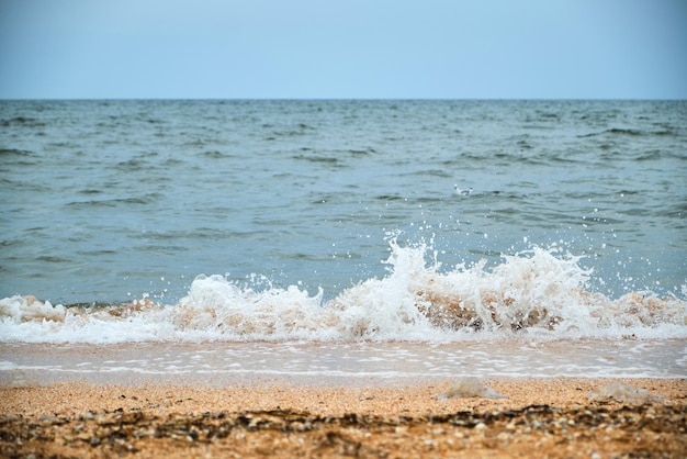 Ola del agua de mar en el día soleado