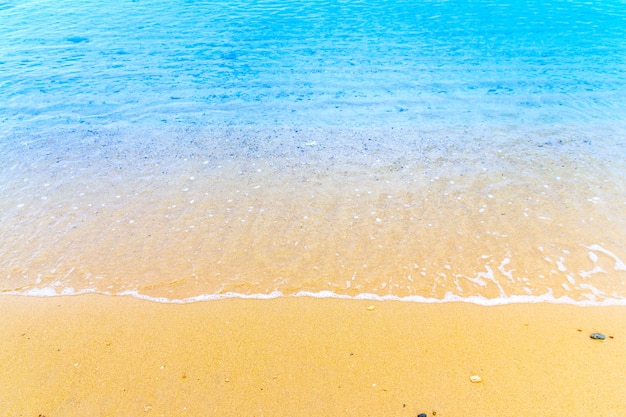 Ola azul del océano en la playa de arena con fondo de verano de concha de mar