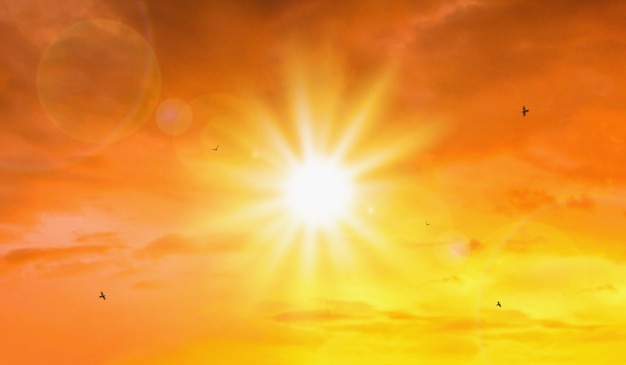 Ola de calor de sol y cielo extremos