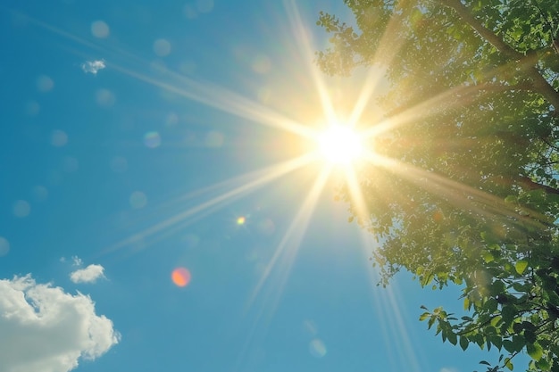 Foto ola de calor el tiempo de harmony