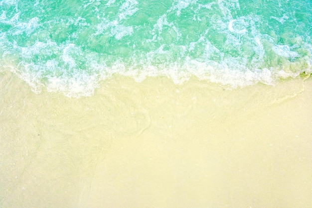 La ola de luz y el hermoso mar verde con espacio para textos en el fondo de la playa