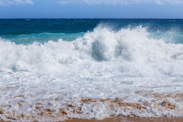 Ola de mar fuerte