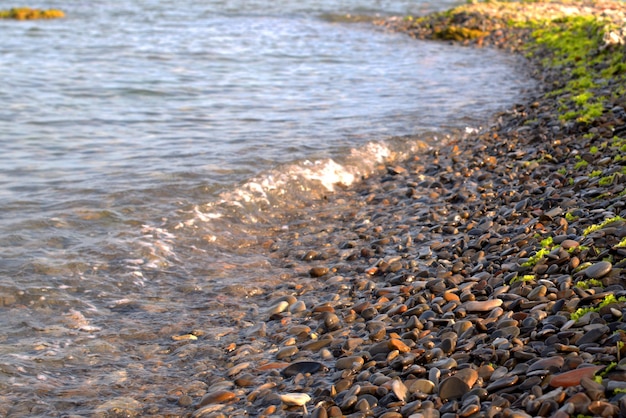 Una ola de mar pura y transparente rueda sobre la orilla rocosa de guijarros el concepto de descanso y tranquilidad de viaje, relajación y reflexión en un cálido día de verano cerrado