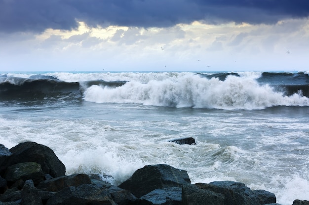 ola de mar durante tormenta en día ventoso