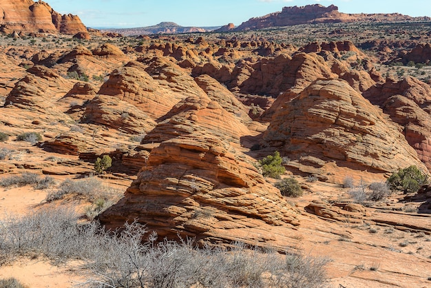 La ola en North Coyote Buttes