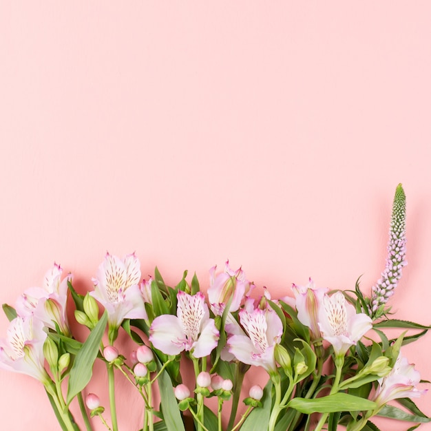 Olá Primavera cartão com flores sobre fundo rosa pastel