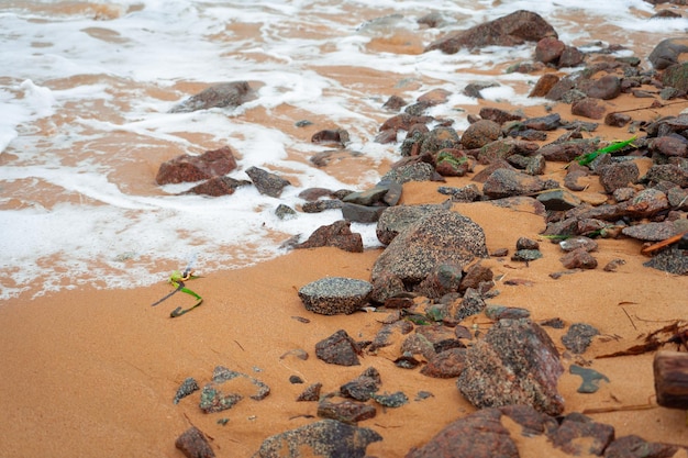 Ola que cubre el mar