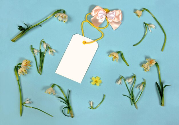 Olá springTemplate para cartão com snowdrops e papel em branco para texto em um fundo azul