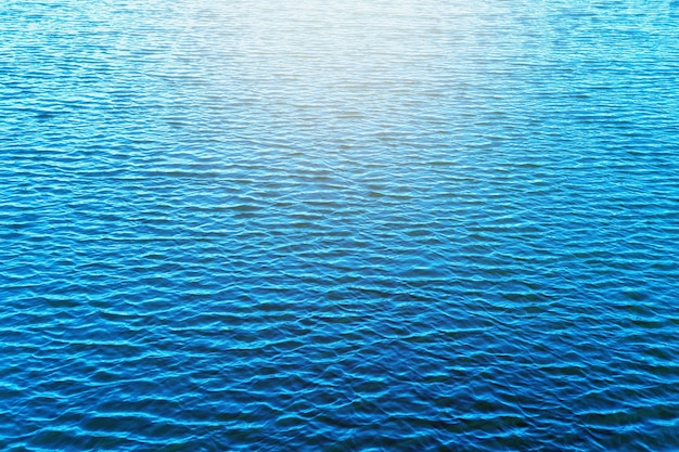 Las olas del agua en el pantano tenían una suave luz solar por la noche.