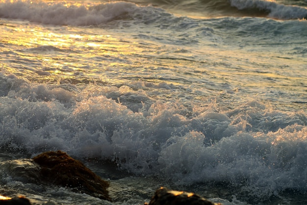 Olas al atardecer