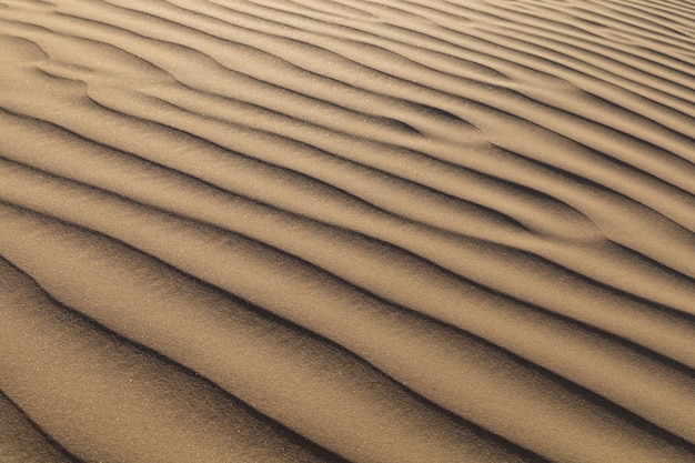 Olas de arena en un desierto