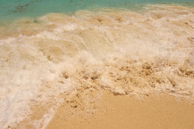 Olas con espuma en la costa caribeña de México