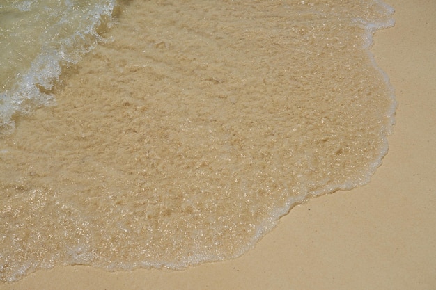 Olas con espuma en la costa caribeña de México