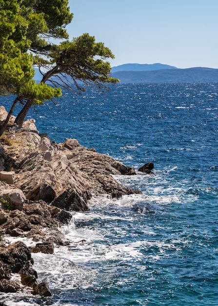 Olas de mar en una costa rocosa Los árboles cuelgan sobre el agua Mar azul transparente Croacia