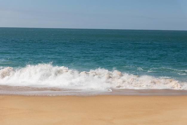 Las olas del mar cubren la orilla