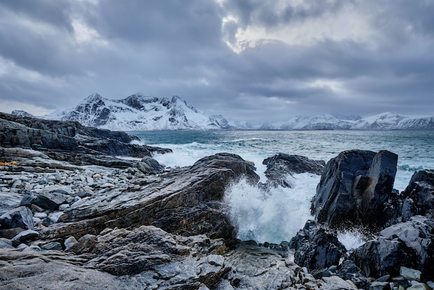 Olas del mar de Noruega en la costa rocosa de las islas Lofoten, Noruega