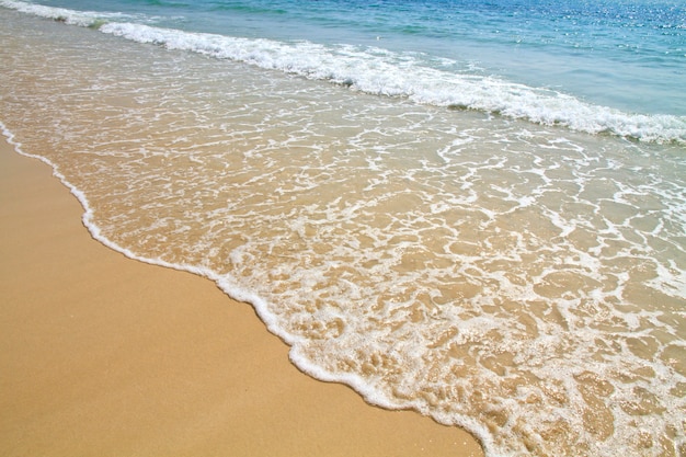 Olas del mar y playa de arena.