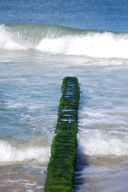 Foto las olas en el mar