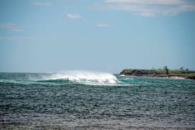 Olas del océano Pacífico en la orilla