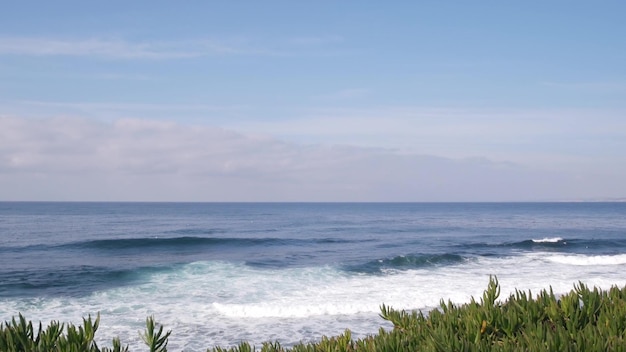 Olas del océano rompiendo en la superficie del agua de mar de la playa plantas suculentas de california