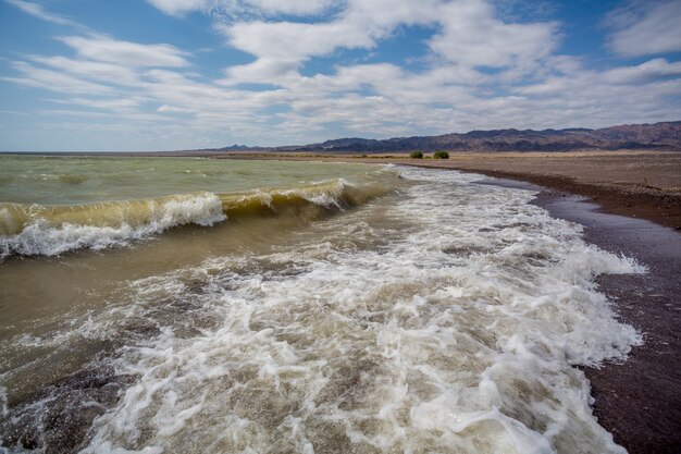 Olas en la orilla del lago