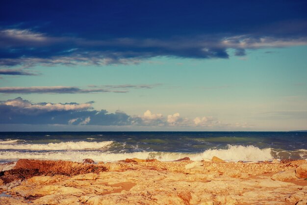 Olas en el paisaje del mar