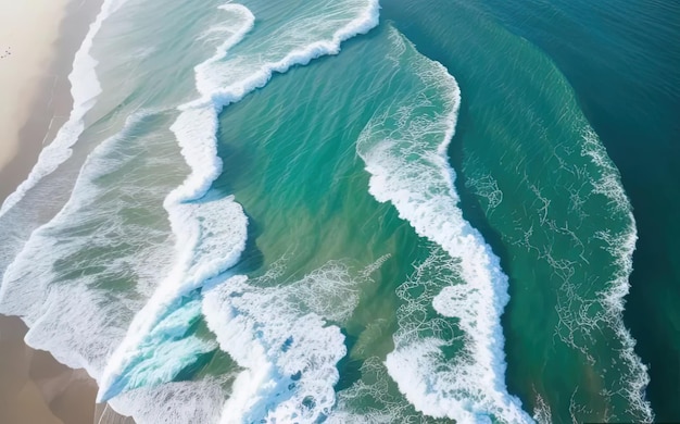 olas en la playa