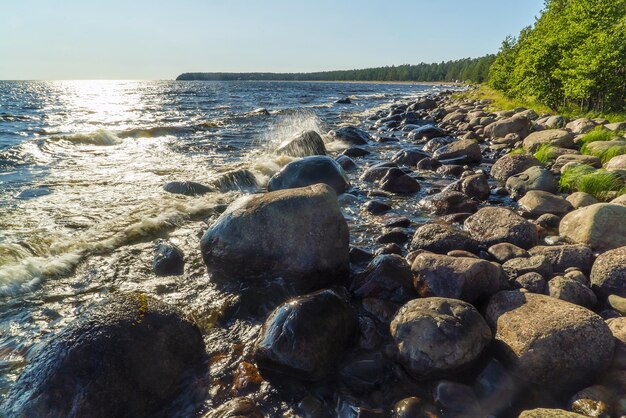 Las olas rompen sobre los cantos rodados en la orilla del lago Ladoga. Vidlitsa. Karelia.