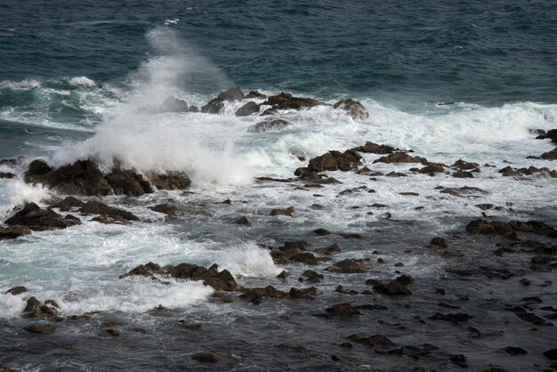 Foto las olas salpicando la orilla