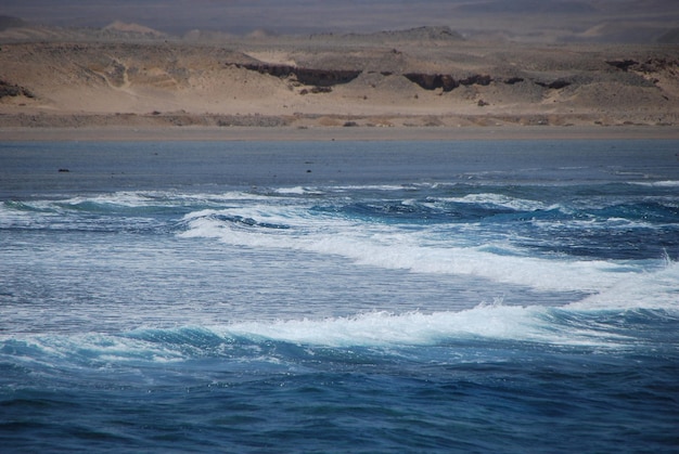 Olas salvajes en el desierto