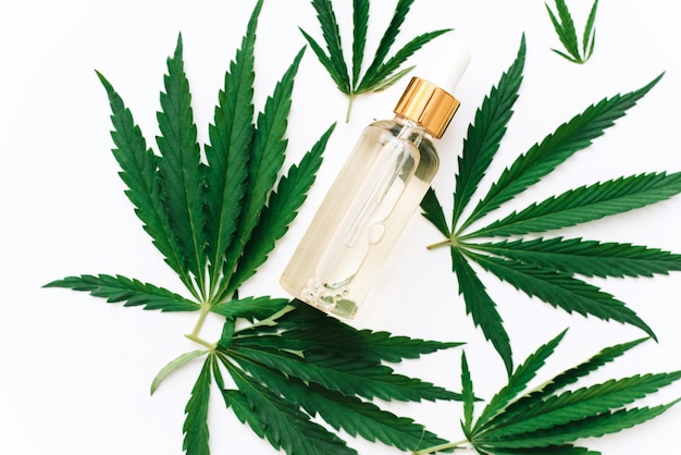 Óleo cbd de cânhamo em uma garrafa em um fundo branco com folhas de cânhamo biomedicina e ecologia óleo cbd de erva de cânhamo de um extrato médico