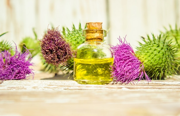 Óleo de bardana. plantas medicinais. foco seletivo. natureza.