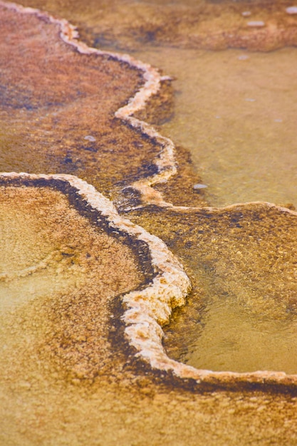 Olhando de perto para algumas prateleiras de terraço na fonte termal de Yellowstone