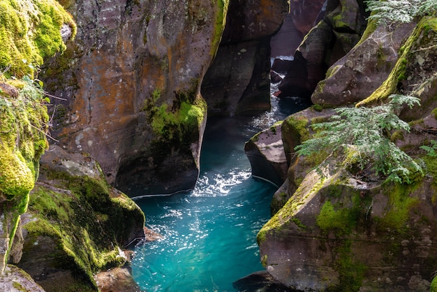 Olhando para Avalanche Creek