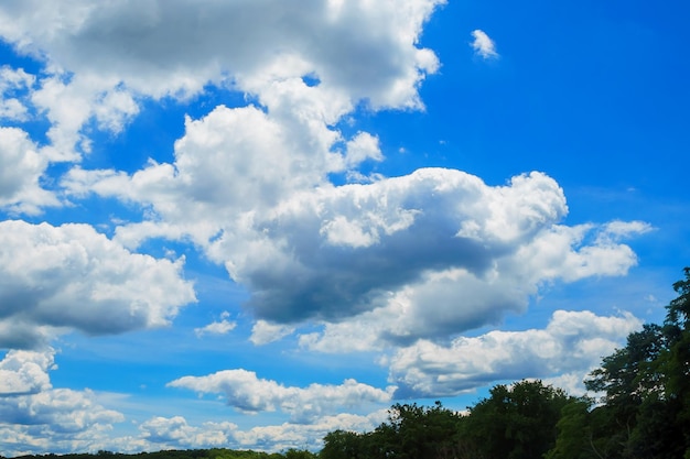 Olhando para cima a vista do céu azul panorâmico com nuvens e reflexo do sol