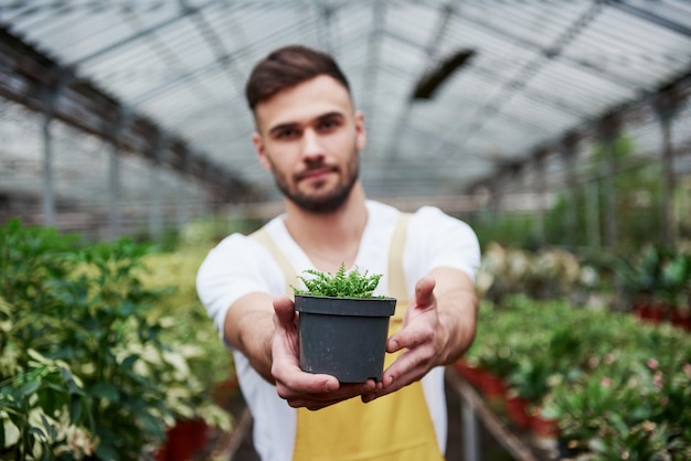 Olhe para esta planta. Foto da bela barbudo trabalhador com efeito de estufa segurando o vaso nas mãos.