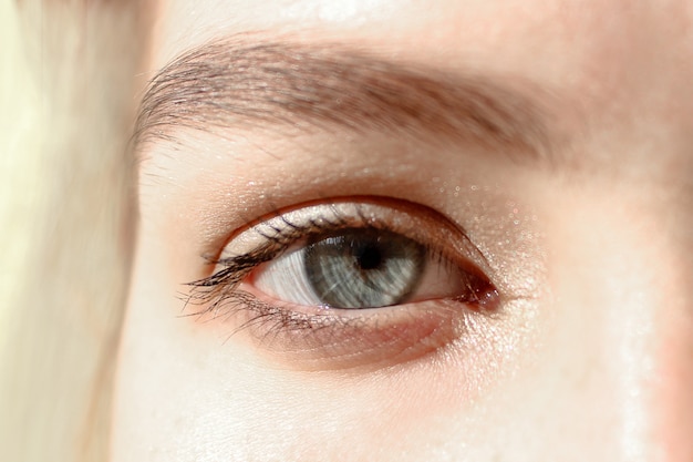 Foto olho aberto de uma jovem mulher, close-up tiro de beleza