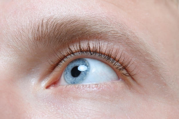 Olho azul lindo homem close-up