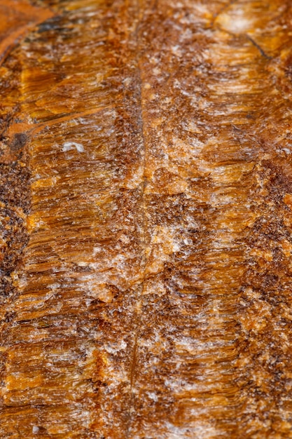 Olho de tigre de pedra mineral macro na raça em um fundo branco