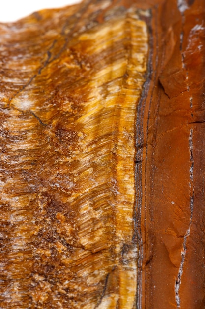 Olho de tigre de pedra mineral macro na raça em um fundo branco