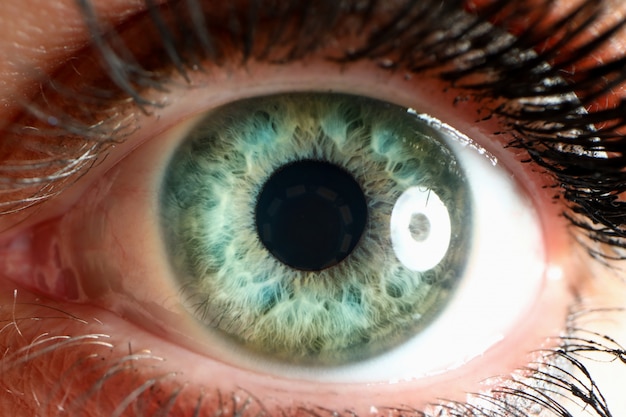 Olho humano com cílios naturais olhando direto