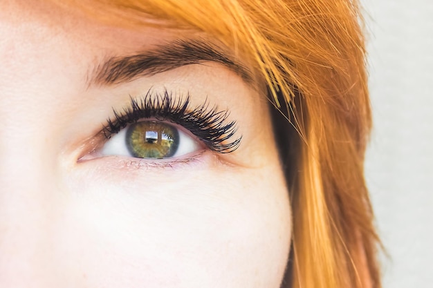 olhos de mulher lindos com cílios longos close-up