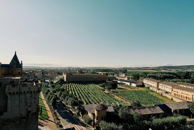 Olite Navarra, Espanha, 20 de fevereiro de 2021 - vista da cidade de Olite