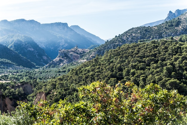 oliveiras campos Jaen Andaluzia Espanha