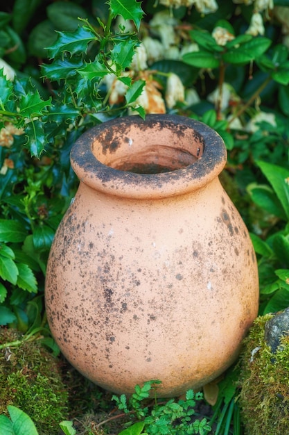 Olla de barro en mi jardín En mi jardín jarro y maceta