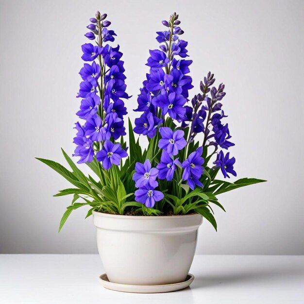 Foto una olla blanca con flores púrpuras en una mesa