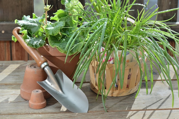 olla de flores y planta con pala en mesa de madera en la terraza